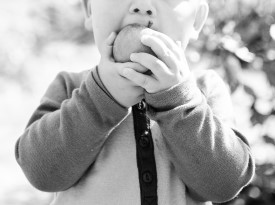 Boy biting into an apple